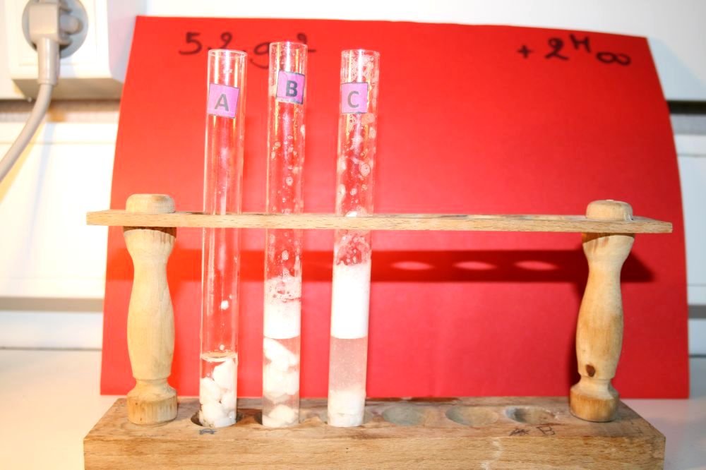 gal/LES_CINQUIEMES/ACTIVITE DIGESTION IN VITRO/Groupe_02/Groupe02_T_02h00min/Groupe02_temps02H00min_29.jpg